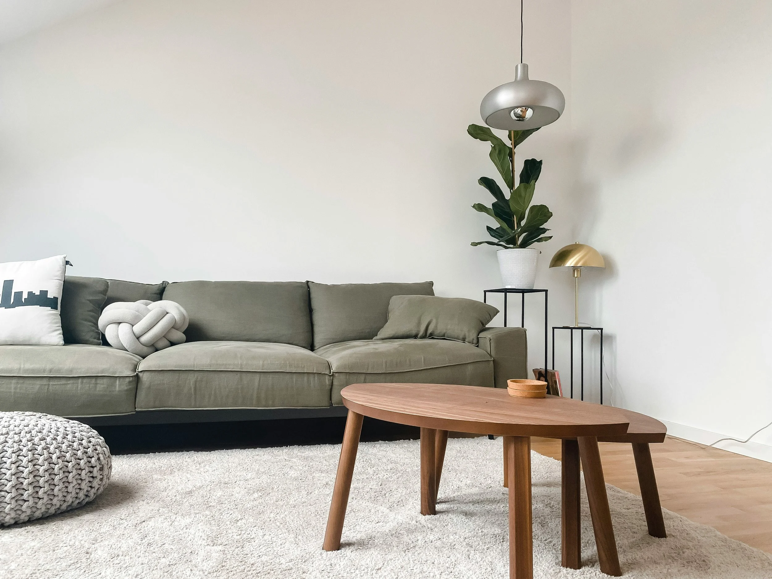 Warm living room with couch, cushions and plant