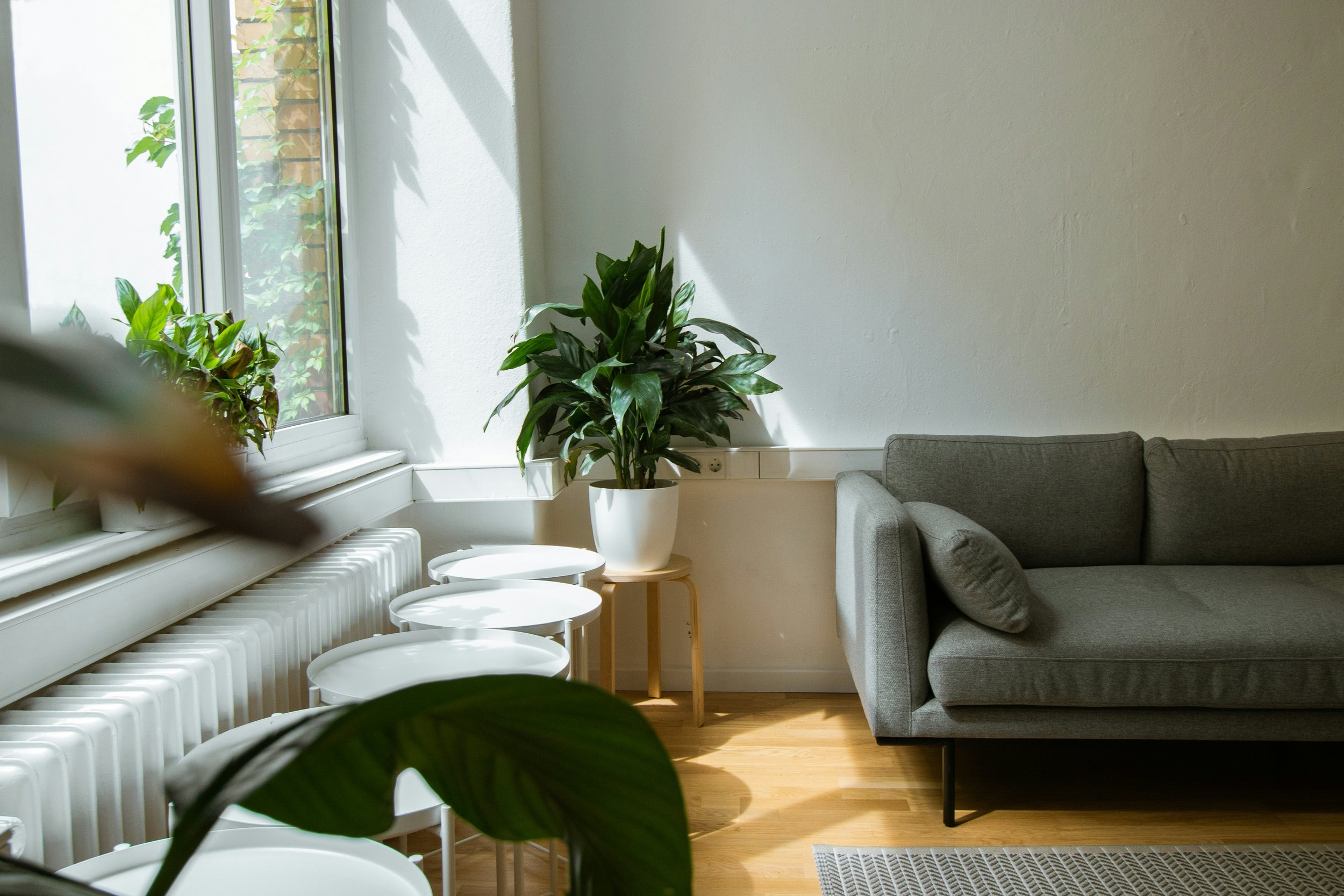 Living room with large window, potted plants, grey couch, small white tables, wooden floor, and white wall